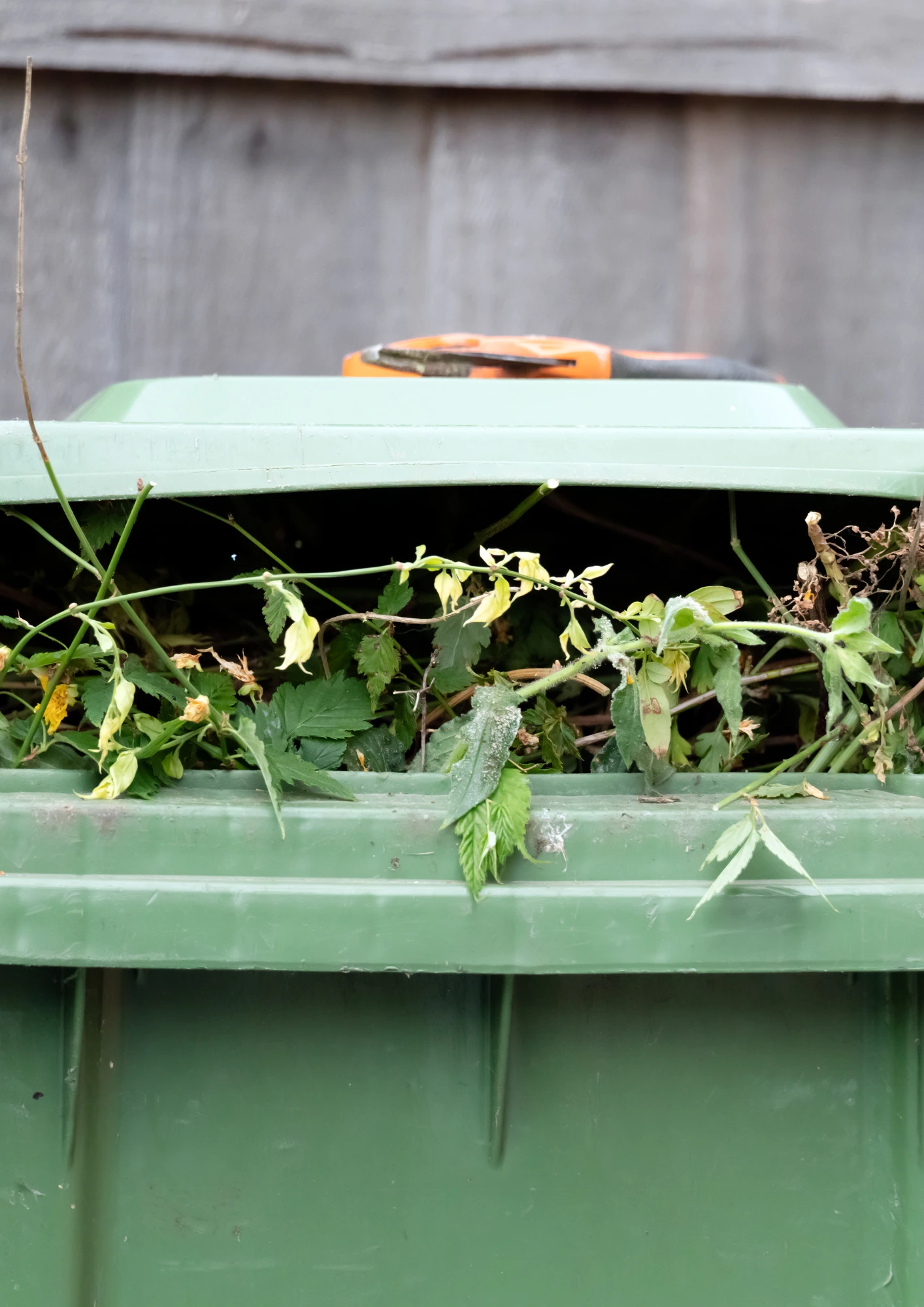 Gartenabfall in Tonne